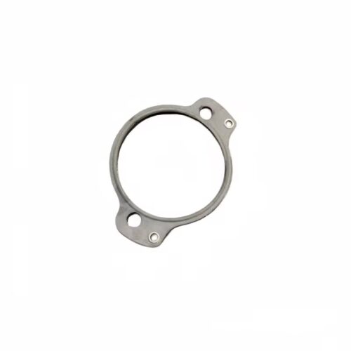 Water pump gasket / O-ring seal for Lamborghini Aventador LP700 LP720 (N90111301/N90760301/N90928101)